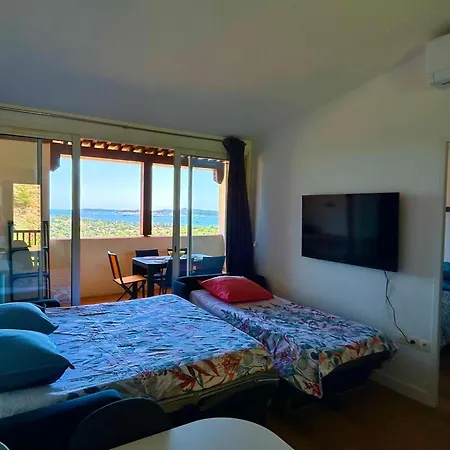 Vue Mer, Piscine, Clim Grimaud