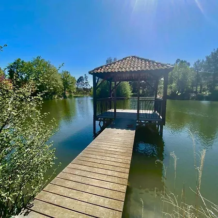 Vue Mer, Piscine, Clim Appartement *