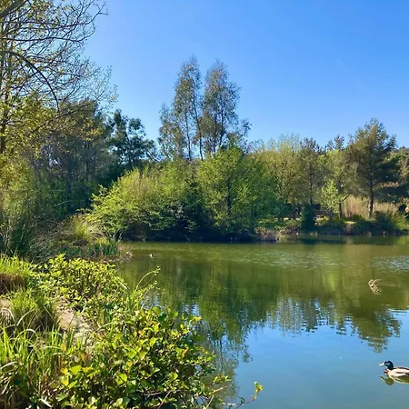 Vue Mer, Piscine, Clim